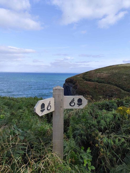 National Trail wooden sign on Coast path