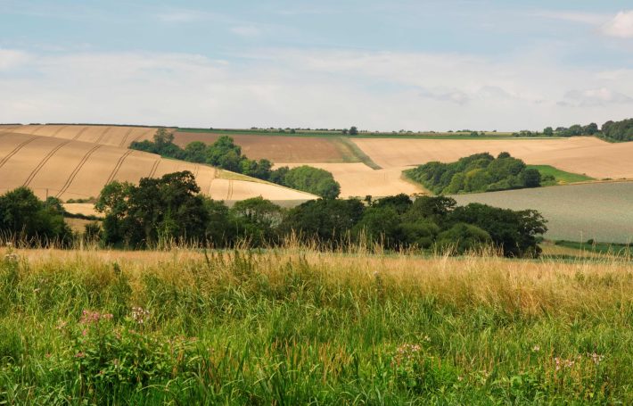 Landscape of the hills near Amberley