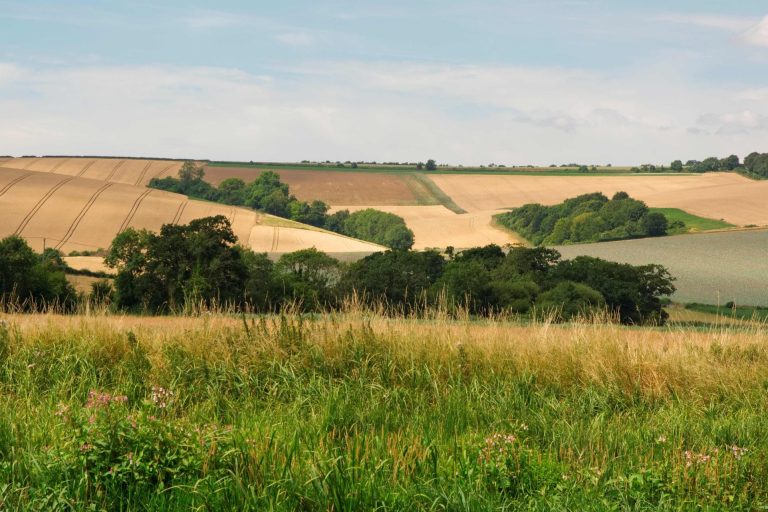 Landscape of hills looking towards Amberley