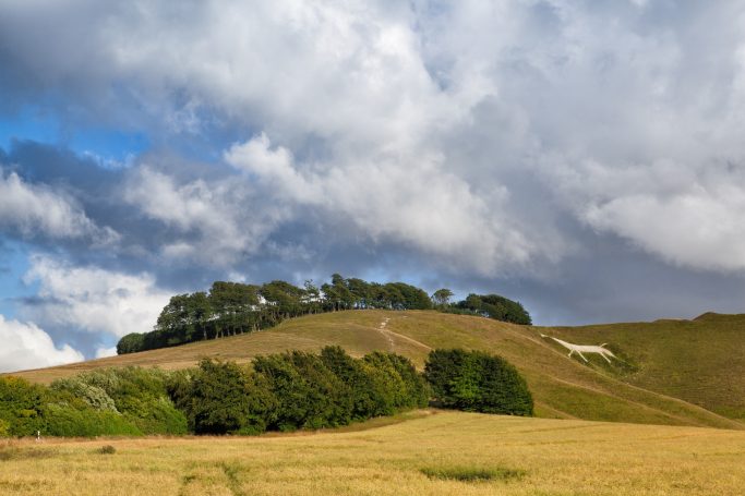 Hill with chalk white horse on Hackpen Hill