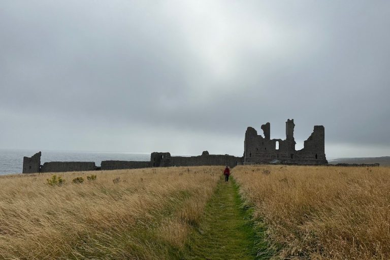 Dunstanburgh Castle by kind permission of Mark Avery