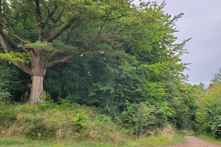 Offa's Dyke path passing near Kingswood outside Monmouth