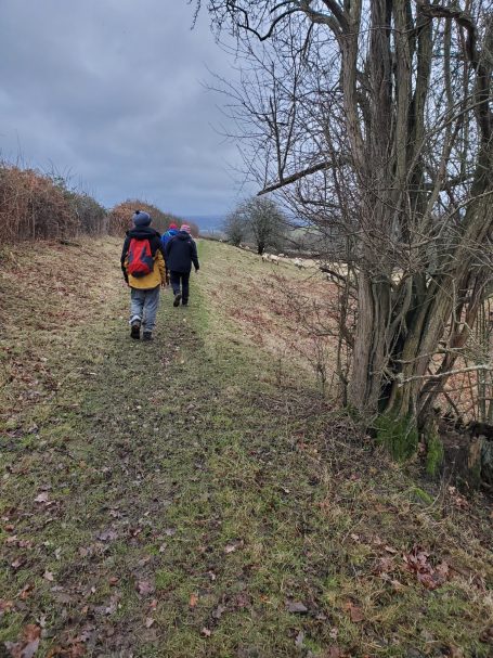 Walking through field next to Wye with sheep in picture