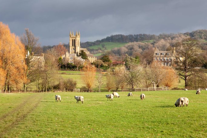 View through field of sheep towards Broadway