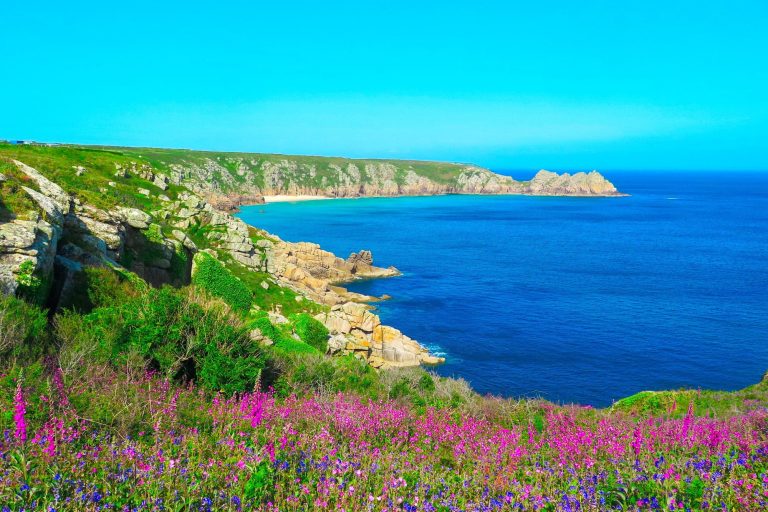 View over summer flowers to Porthcurno Beach 