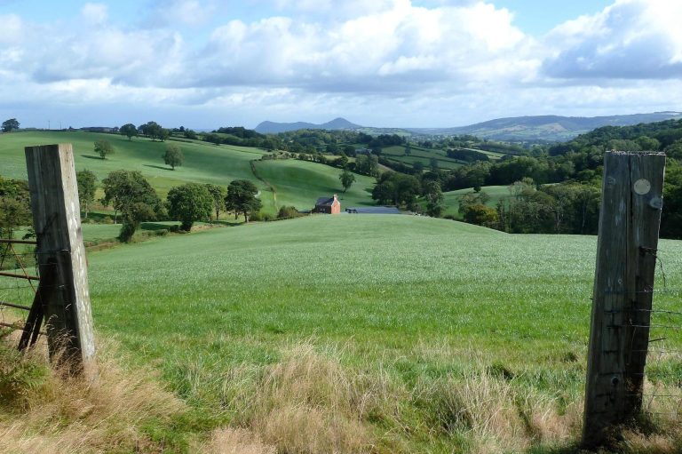 Looking across the Cambrian Mountains, from gate entrance