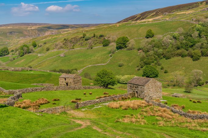 Landscape showing barns and stone wall near Keld