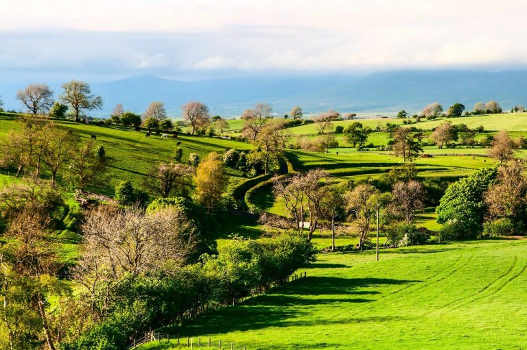 Smardale Gill, a view across green fields 