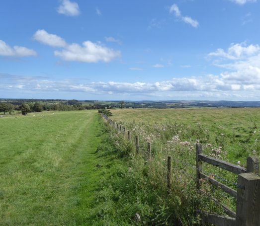 Fence line of Hadrian's Wall