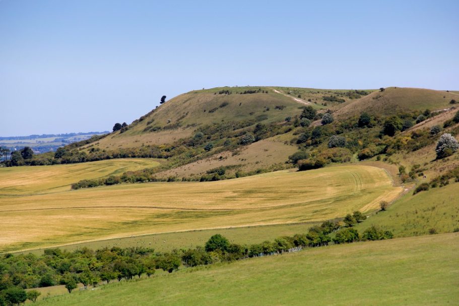 View across green fields toward Ivinghoe Beacon