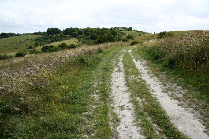 Old roadway going off into the distance on Ridgeway