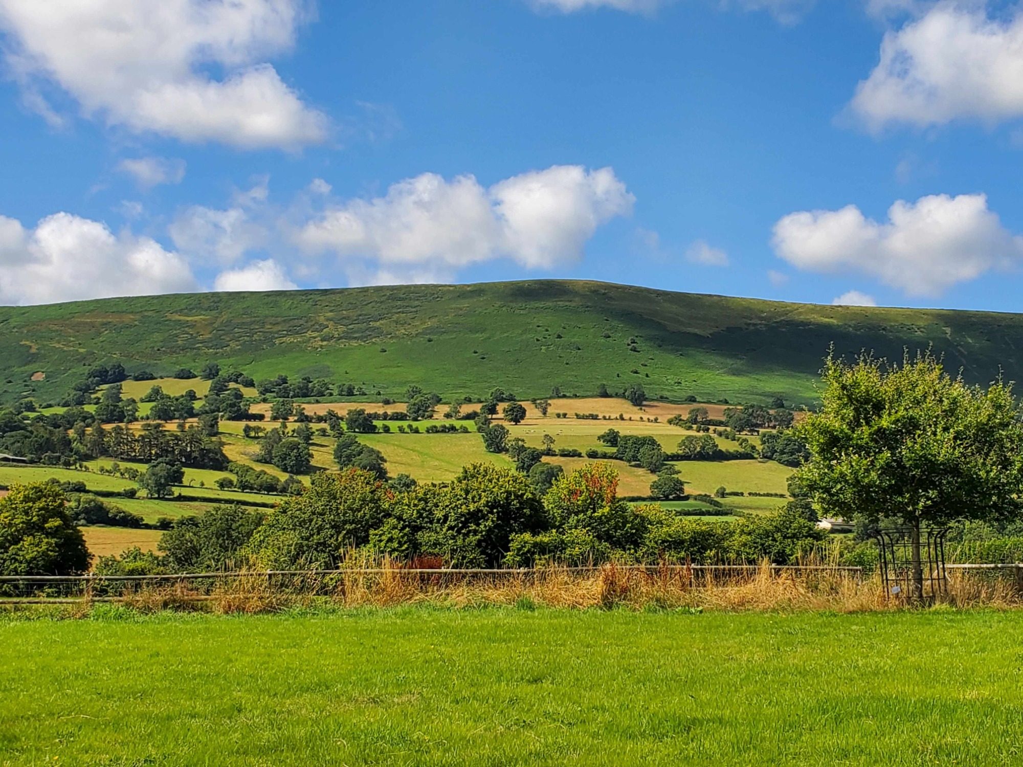 Mountain scene showing green welsh farmland