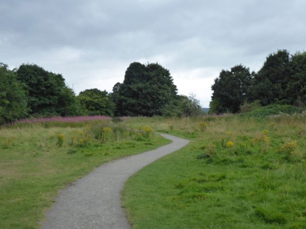 Tarmac path leading into distance