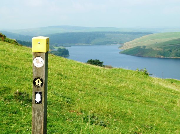 wooden sign post near Clywedog reservoir