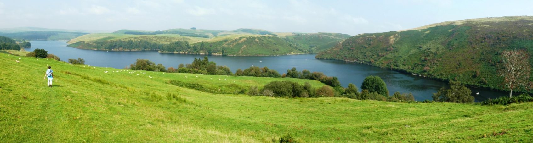 View over Clywedog reservoir